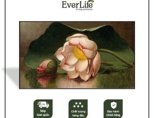 Tranh canvas - TH0019