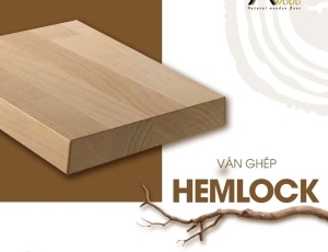Ván ghép - Hemlock