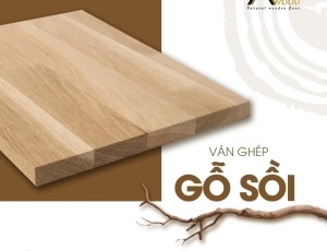 Ván ghep - Sồi