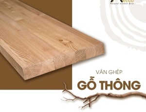 Ván ghép - Thông